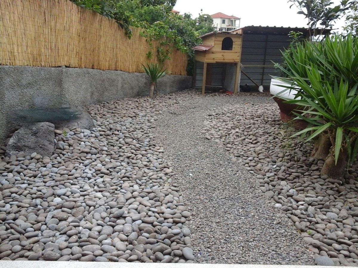 Cottage Quinze, Contemporary Designed Cottage With Swimming Pool Ponta Delgada  Luaran gambar