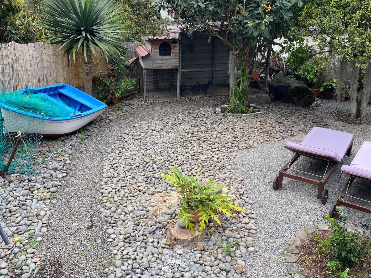 Cottage Quinze, Contemporary Designed Cottage With Swimming Pool Ponta Delgada  Luaran gambar